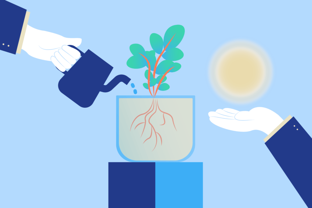 Representación visual del crecimiento sostenible como parte de la sostenibilidad empresarial