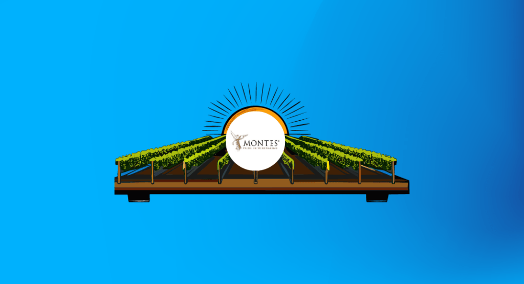 Ilustración que asemeja la viña montes wines