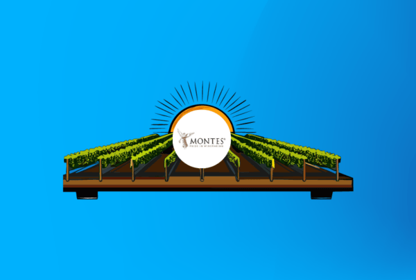 Ilustración que asemeja la viña montes wines