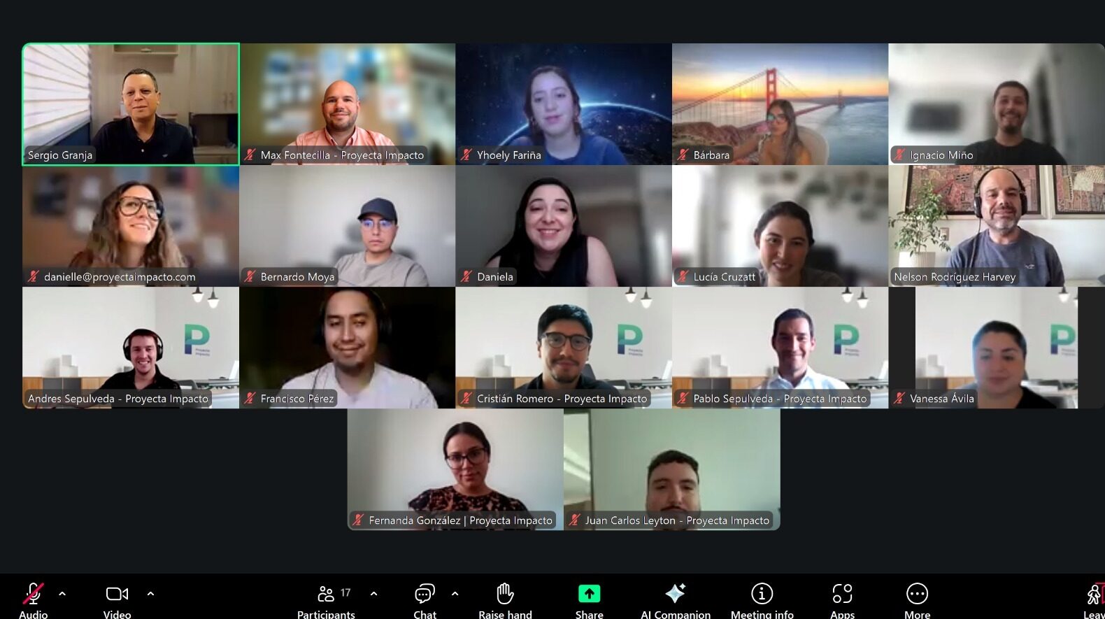Equipo de Proyecta Impacto en una reunión virtual